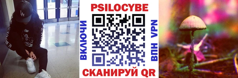 Купить закладки  Александров  Псилоцибиновые грибы Magic Shrooms 